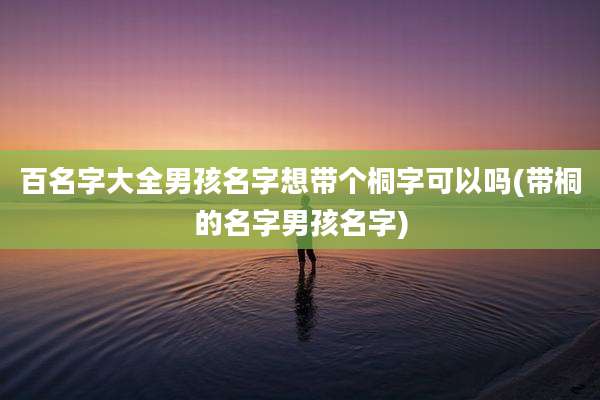 百名字大全男孩名字想带个桐字可以吗(带桐的名字男孩名字)