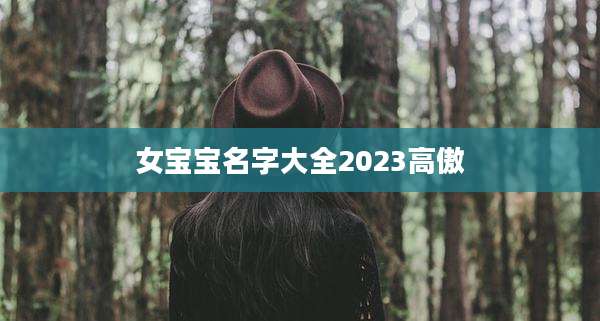 女宝宝名字大全2023高傲