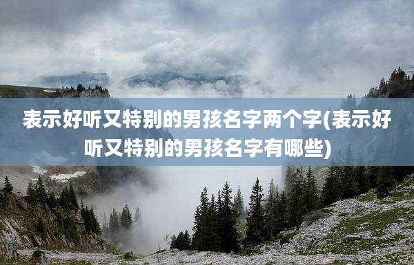 表示好听又特别的男孩名字两个字(表示好听又特别的男孩名字有哪些)