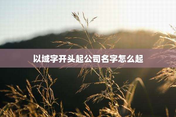 以域字开头起公司名字怎么起