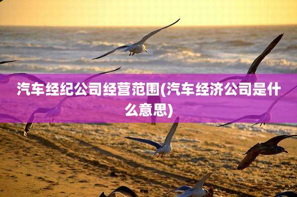 汽车经纪公司经营范围(汽车经济公司是什么意思)