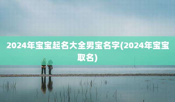 2024年宝宝起名大全男宝名字(2024年宝宝取名)