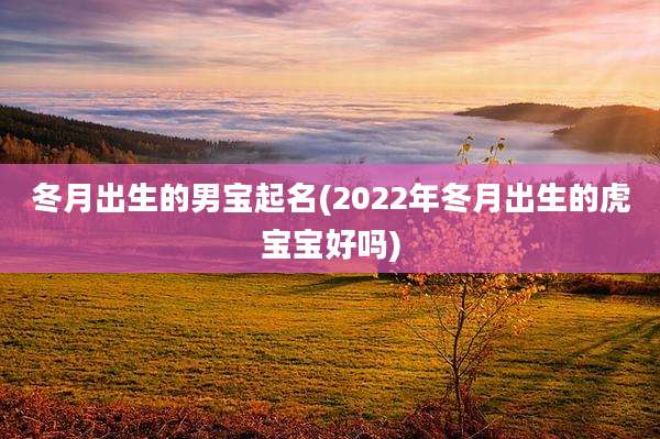 冬月出生的男宝起名(2022年冬月出生的虎宝宝好吗)