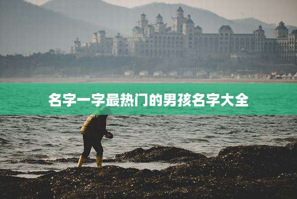 名字一字最热门的男孩名字大全