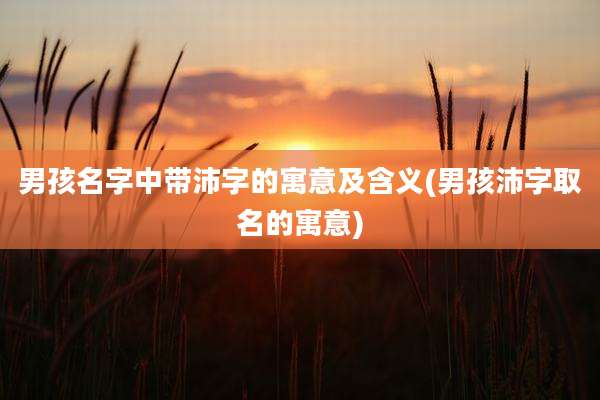 男孩名字中带沛字的寓意及含义(男孩沛字取名的寓意)
