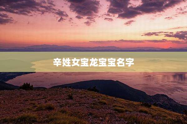 辛姓女宝龙宝宝名字