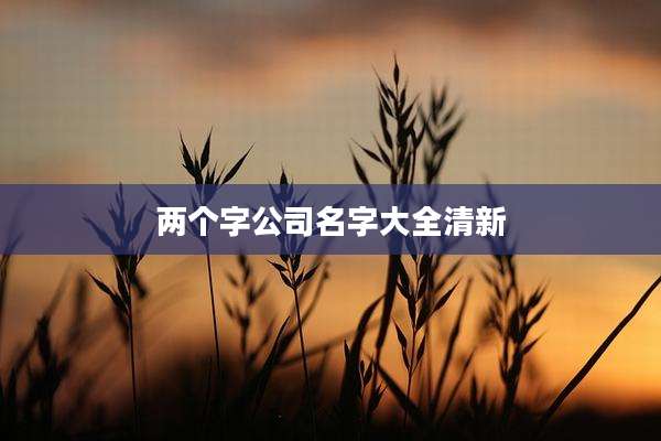 两个字公司名字大全清新