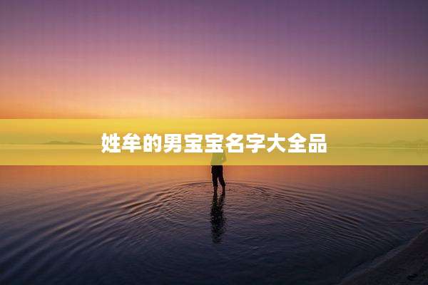 姓牟的男宝宝名字大全品