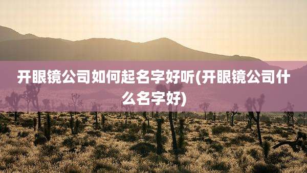 开眼镜公司如何起名字好听(开眼镜公司什么名字好)