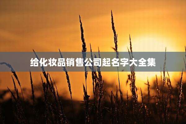 给化妆品销售公司起名字大全集