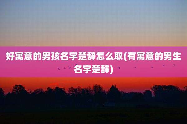 好寓意的男孩名字楚辞怎么取(有寓意的男生名字楚辞)