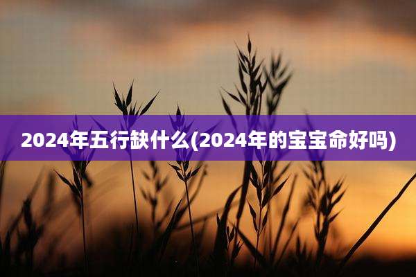 2024年五行缺什么(2024年的宝宝命好吗)
