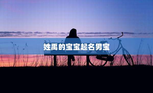 姓禹的宝宝起名男宝
