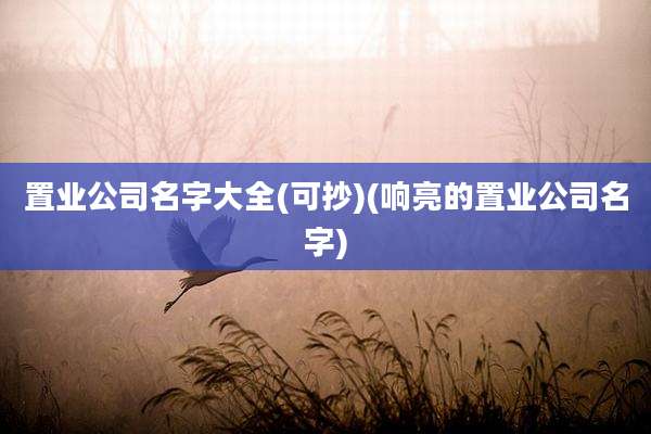 置业公司名字大全(可抄)(响亮的置业公司名字)