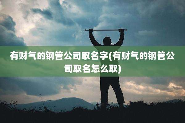 有财气的钢管公司取名字(有财气的钢管公司取名怎么取)