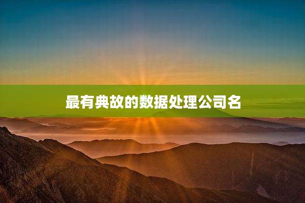 最有典故的数据处理公司名