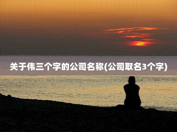 关于伟三个字的公司名称(公司取名3个字)