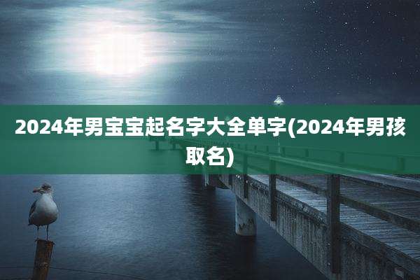 2024年男宝宝起名字大全单字(2024年男孩取名)
