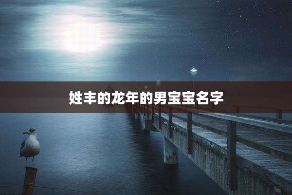 姓丰的龙年的男宝宝名字
