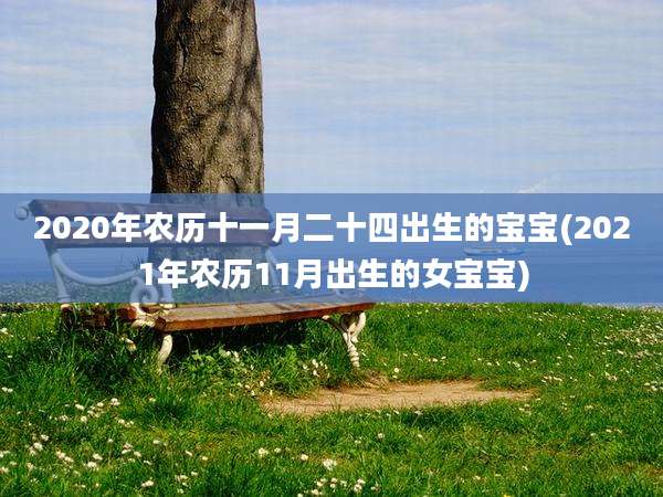 2020年农历十一月二十四出生的宝宝(2021年农历11月出生的女宝宝)