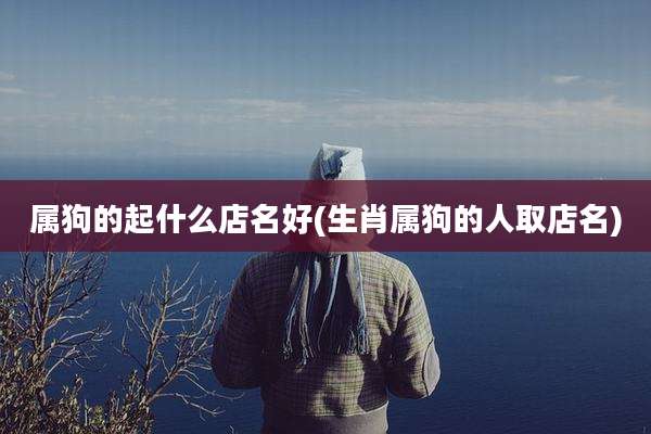 属狗的起什么店名好(生肖属狗的人取店名)