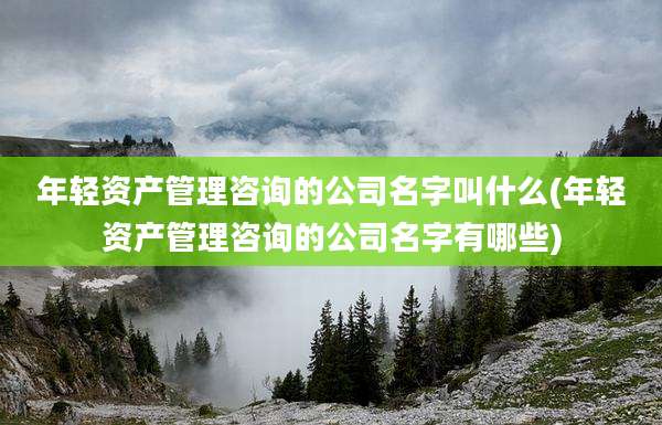 年轻资产管理咨询的公司名字叫什么(年轻资产管理咨询的公司名字有哪些)