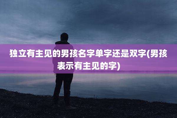 独立有主见的男孩名字单字还是双字(男孩表示有主见的字)