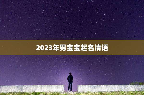 2023年男宝宝起名清语