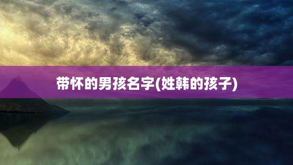 带怀的男孩名字(姓韩的孩子)