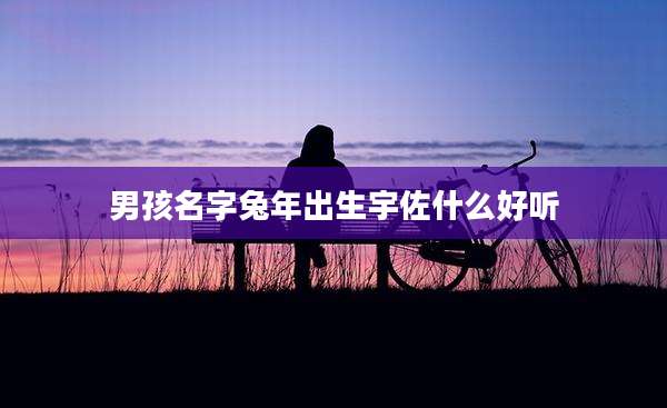 男孩名字兔年出生宇佐什么好听
