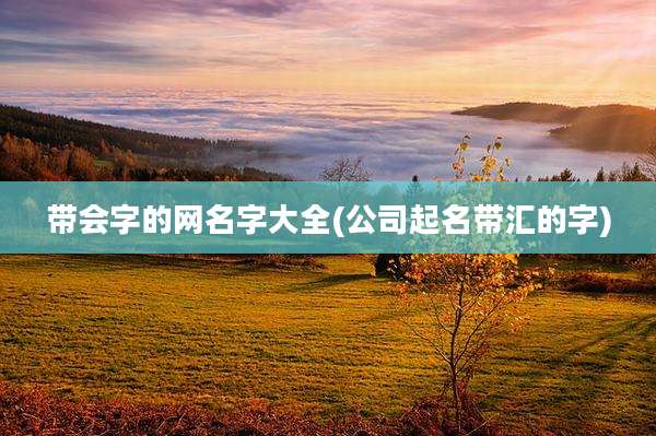 带会字的网名字大全(公司起名带汇的字)