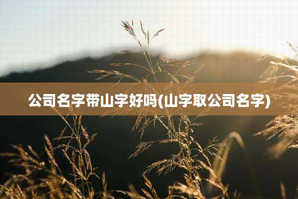 公司名字带山字好吗(山字取公司名字)