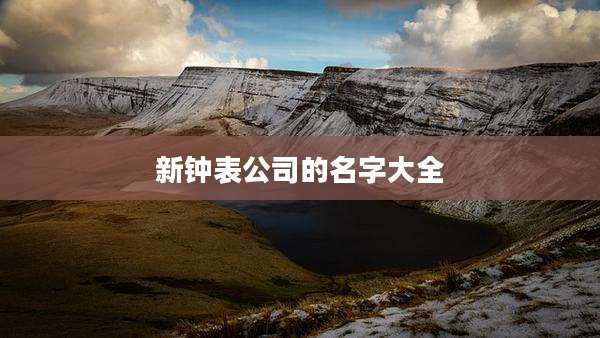 新钟表公司的名字大全