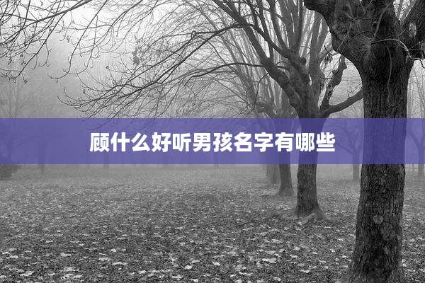 顾什么好听男孩名字有哪些