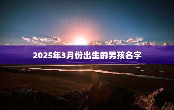 2025年3月份出生的男孩名字