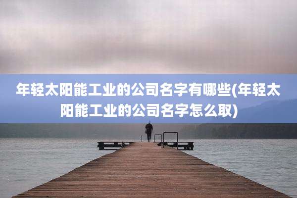 年轻太阳能工业的公司名字有哪些(年轻太阳能工业的公司名字怎么取)
