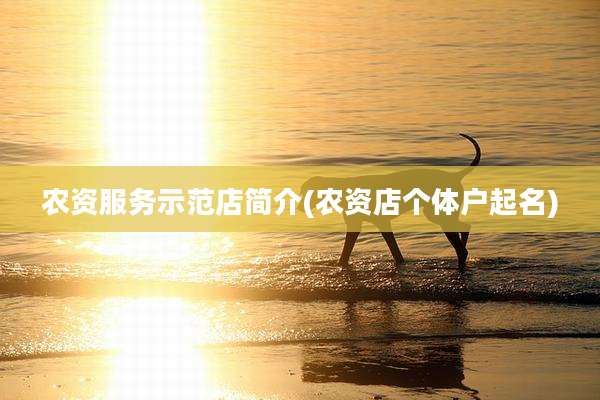 农资服务示范店简介(农资店个体户起名)