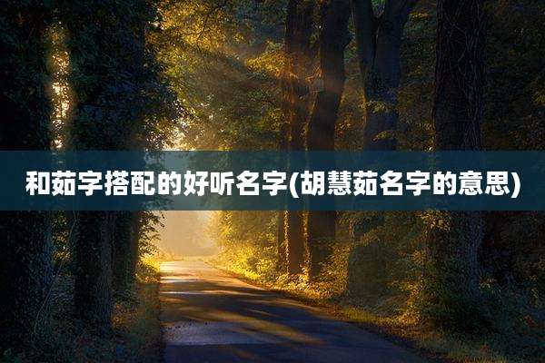 和茹字搭配的好听名字(胡慧茹名字的意思)