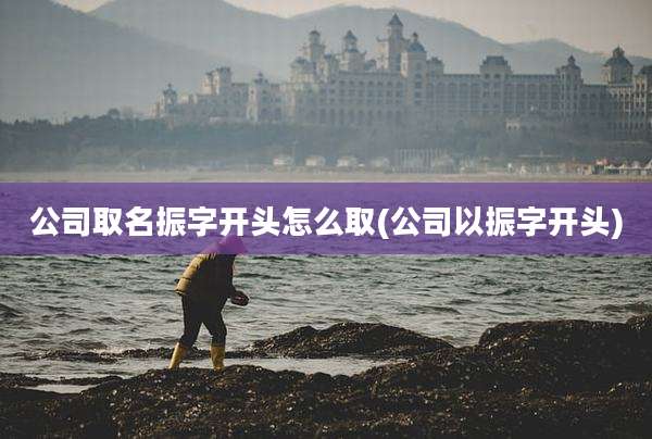公司取名振字开头怎么取(公司以振字开头)