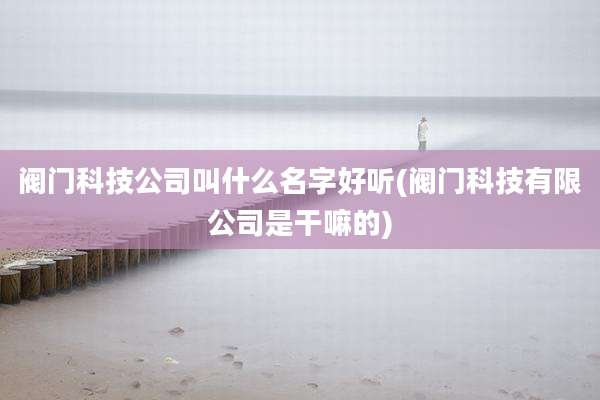 阀门科技公司叫什么名字好听(阀门科技有限公司是干嘛的)