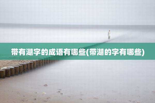 带有湖字的成语有哪些(带湖的字有哪些)