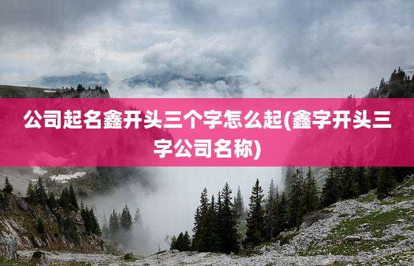 公司起名鑫开头三个字怎么起(鑫字开头三字公司名称)