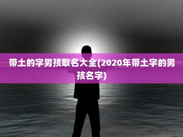 带土的字男孩取名大全(2020年带土字的男孩名字)