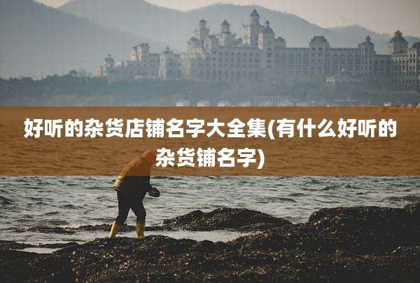 好听的杂货店铺名字大全集(有什么好听的杂货铺名字)