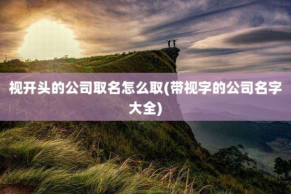 视开头的公司取名怎么取(带视字的公司名字大全)