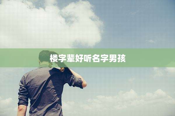 楼字辈好听名字男孩