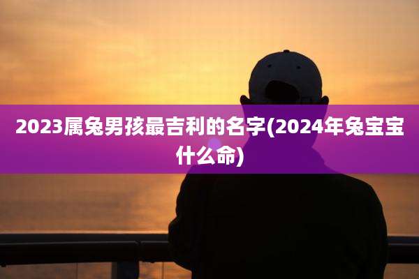 2023属兔男孩最吉利的名字(2024年兔宝宝什么命)
