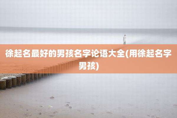 徐起名最好的男孩名字论语大全(用徐起名字男孩)