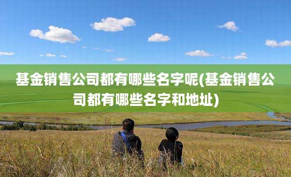 基金销售公司都有哪些名字呢(基金销售公司都有哪些名字和地址)