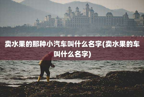 卖水果的那种小汽车叫什么名字(卖水果的车叫什么名字)